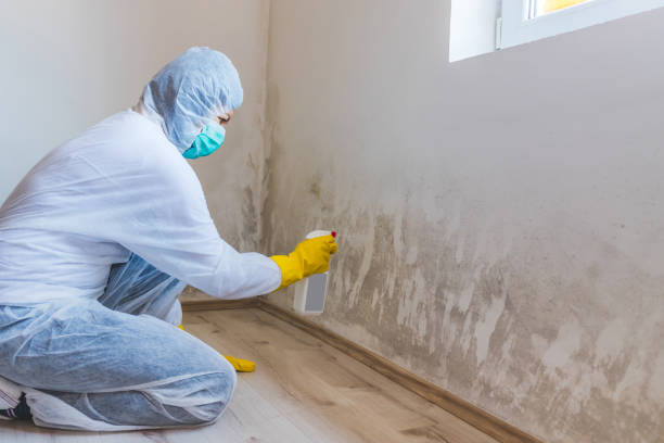 Hvac And Air Duct Mold Remediation inspection of HVAC system in Lexington